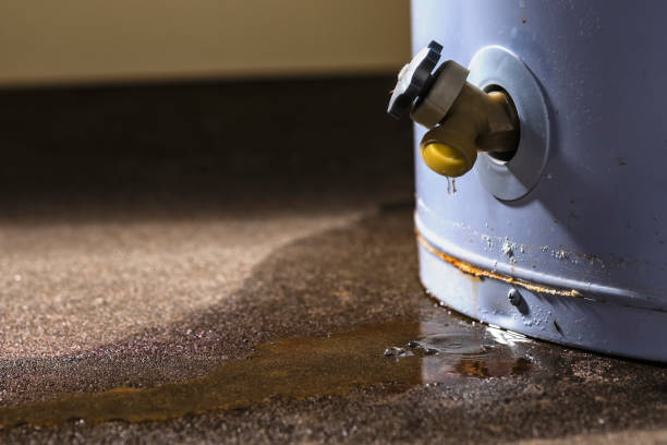 Best Carpet water damage restoration  in Manheim, PA