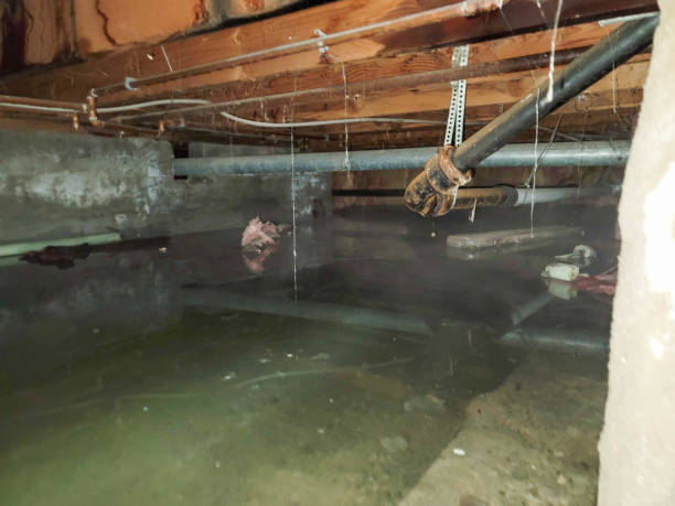 Best Water damage restoration process  in Manheim, PA