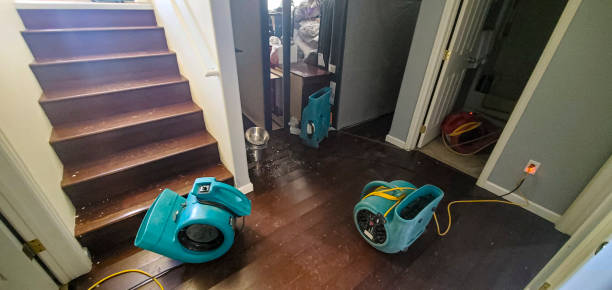 Best Fire Damage Restoration  in Manheim, PA