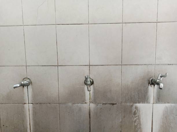 Best Water damage restoration near me  in Manheim, PA