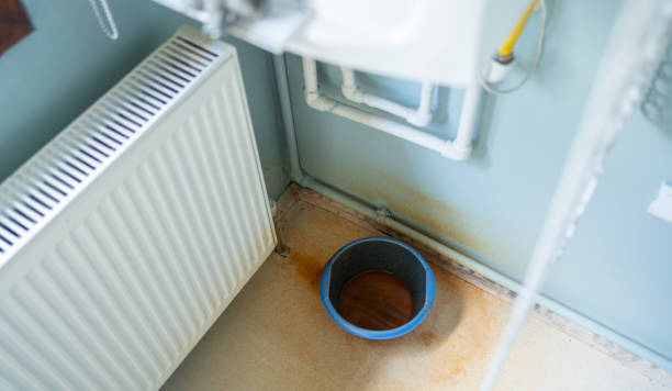  Manheim, PA Water damage restoration Pros
