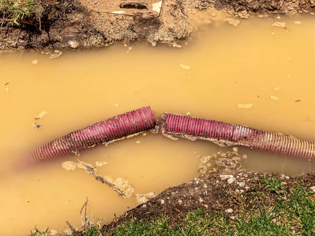 Best Flood damage cleanup  in Manheim, PA